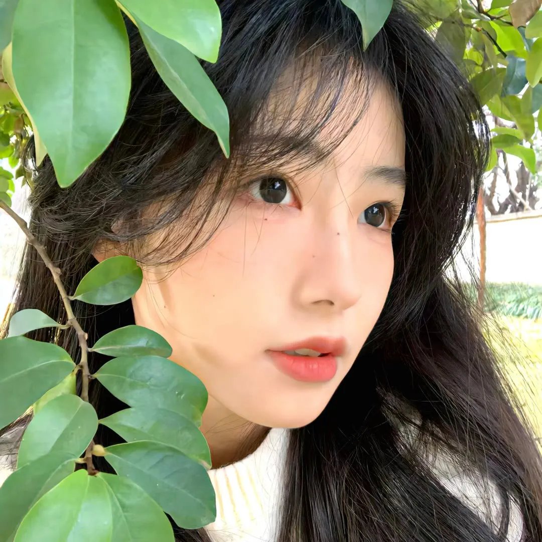 新片发现